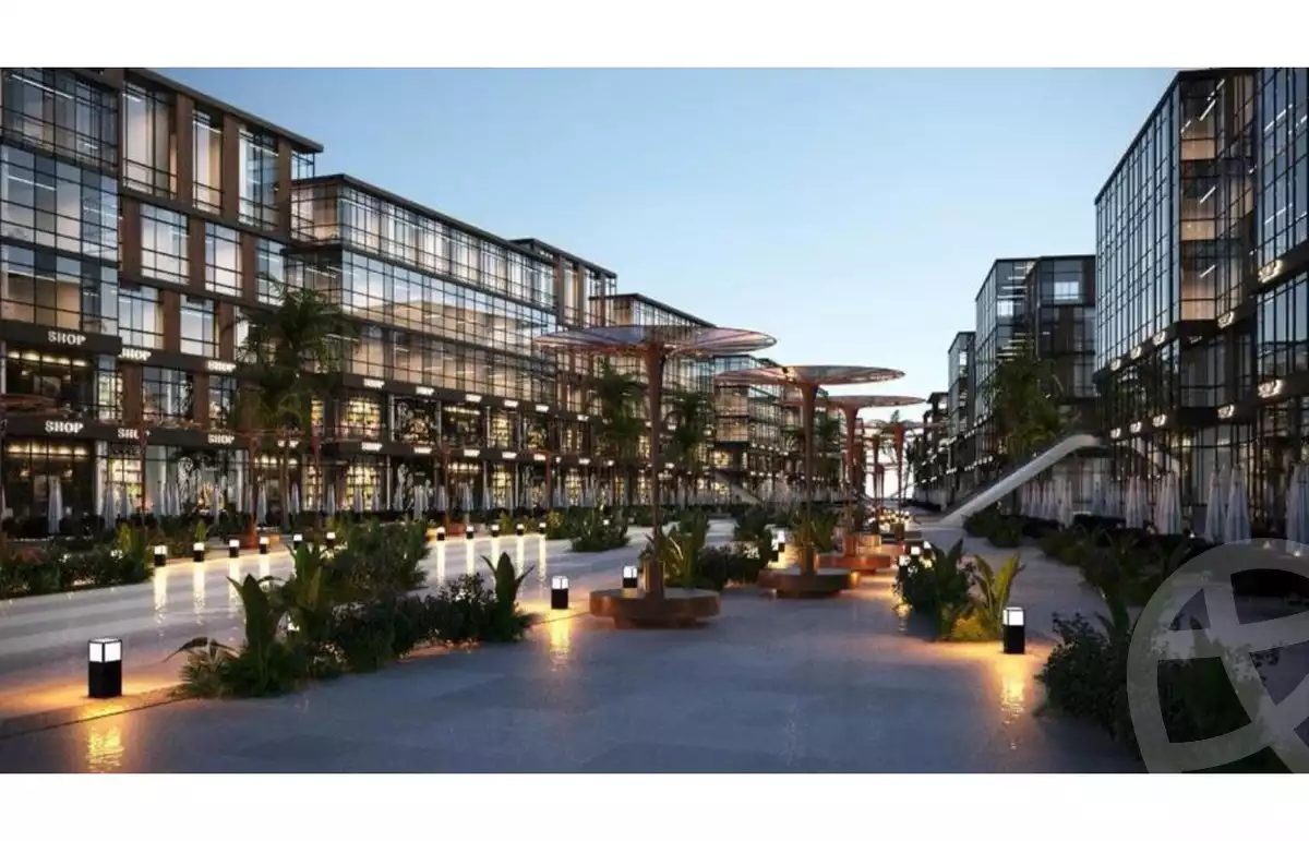 ستريب بريميرو - Strip Primero - صورة 1 - ندى محمود