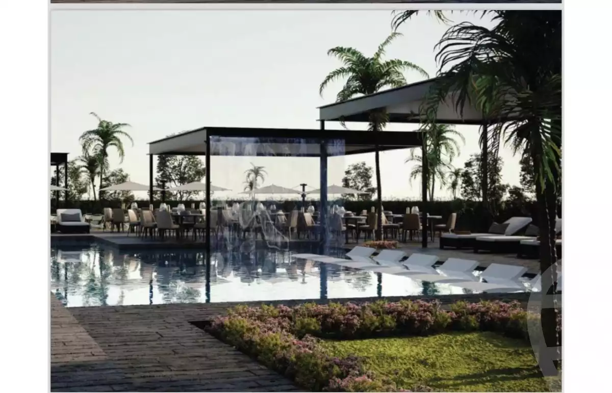 ستريب بريميرو - Strip Primero - صورة 2 - ندى محمود